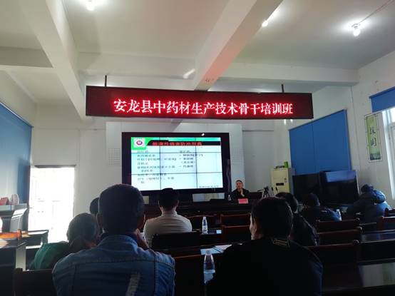 说明: E:\0000药学院党政工作\产业扶贫报告(有关扶贫攻坚)\2019年中药材生产技术骨干培训班\2019中药材栽培生产技术骨干培训素材(20191112)\第五组册亨望谟安龙张亚州\安龙_20191112165737.jpg